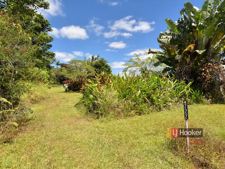 Fourth view of Homely land listing, 222 East Feluga Road, East Feluga QLD 4854