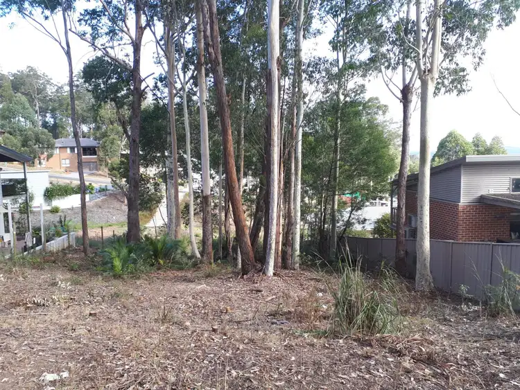 Fourth view of Homely land listing, 24 Litchfield Crescent, Long Beach NSW 2536