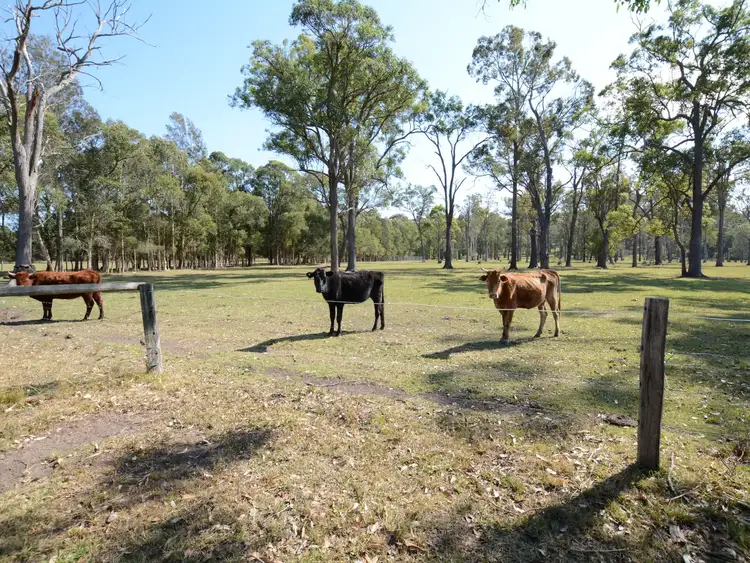 Third view of Homely house listing, 633 Manning Point Road, Oxley Island NSW 2430