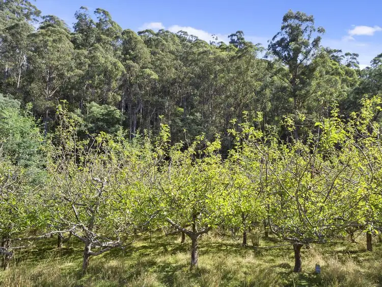 Fifth view of Homely land listing, Cripps Road, Woodbridge TAS 7162