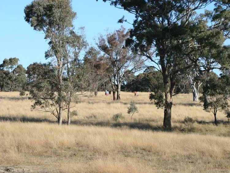 Seventh view of Homely rural property listing, Lot 232 Loloma Road, Warwick QLD 4370