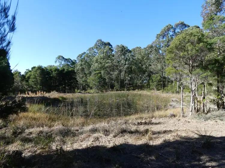 Seventh view of Homely land listing, 21 Greys Road, Failford NSW 2430