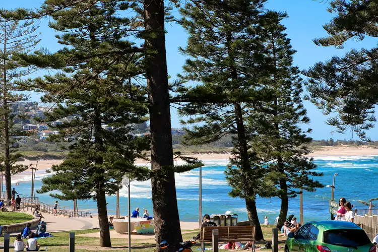 Fourth view of Homely house listing, 133 Oaks Avenue, Dee Why NSW 2099