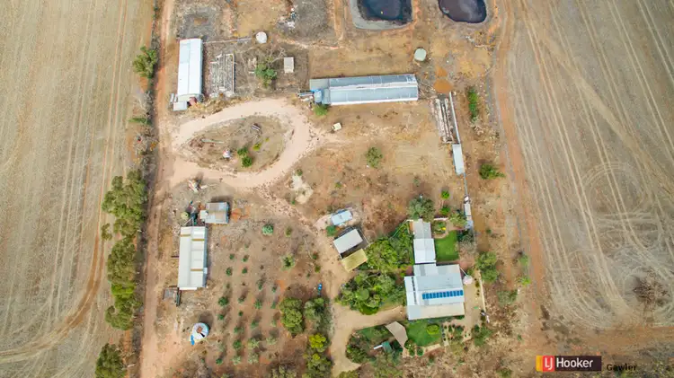 Sixth view of Homely house listing, 64 Hamley Bridge Road (Barabba), Mallala SA 5502