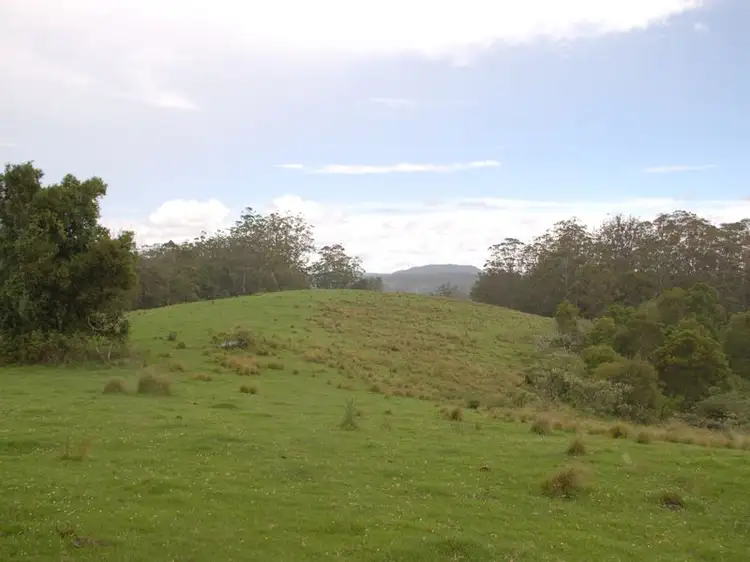 Fifth view of Homely rural property listing, GANGARA Neaves Rd Deer Vale, Dorrigo NSW 2453