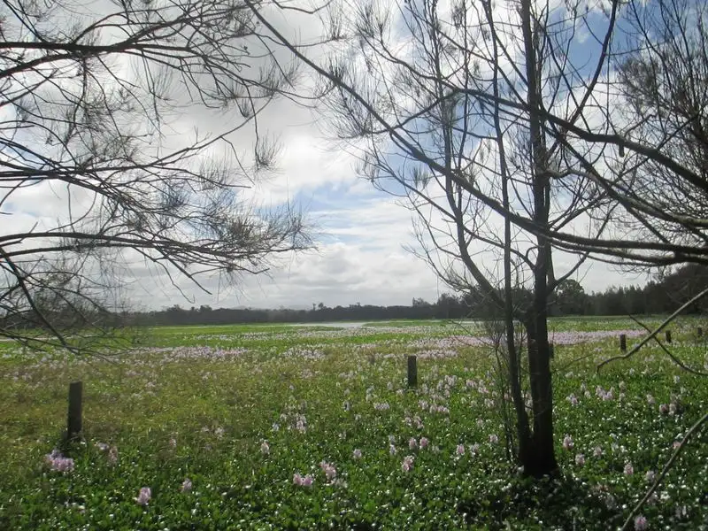Main view of Homely land listing, 466 Congo Road, Congo NSW 2537