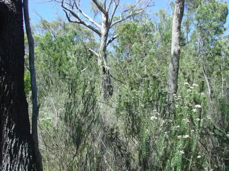 Third view of Homely land listing, 27 Rosedale Road, Bicheno TAS 7215