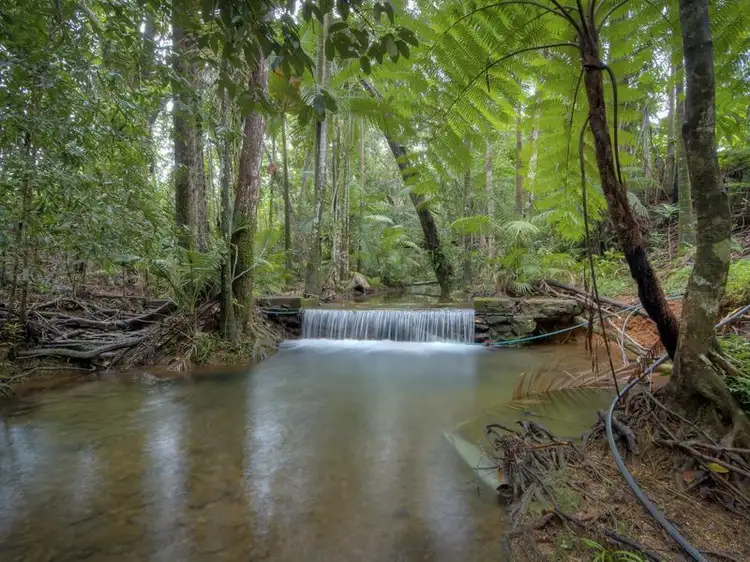 Lot 51 George Road Forest Creek, Daintree QLD 4873