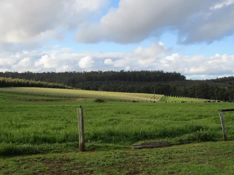 Seventh view of Homely rural property listing, 413 Pozzi Road, Manjimup WA 6258