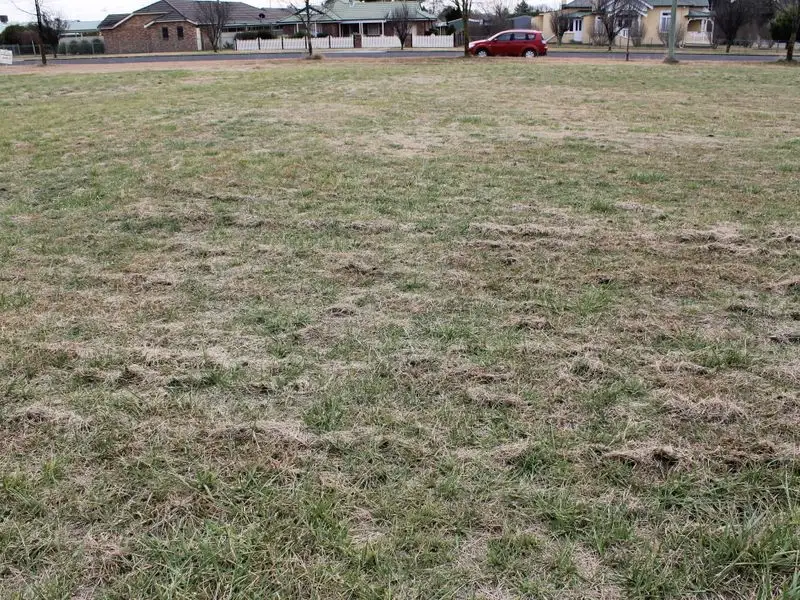 Main view of Homely land listing, 81 Taylor Street, Glen Innes NSW 2370