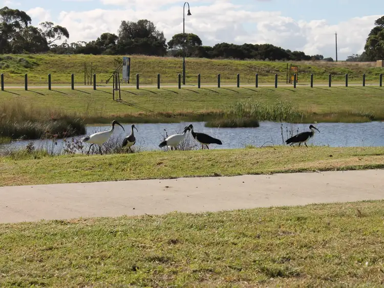 Second view of Homely land listing, Lot 87 Marginata Close, Inverloch VIC 3996