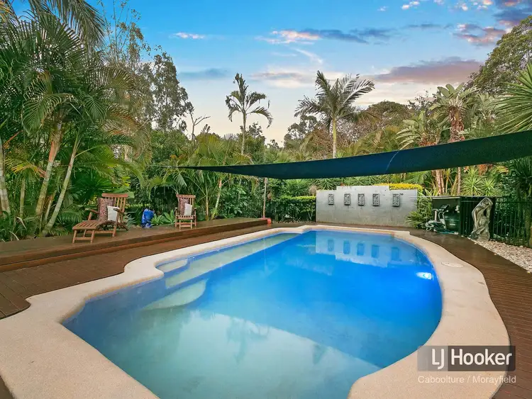 Fifth view of Homely rural property listing, 73-77 Riflebird Drive, Upper Caboolture QLD 4510