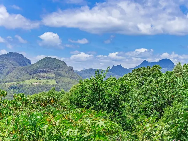 Sixth view of Homely house listing, 65 Sunray Drive, Bonogin QLD 4213