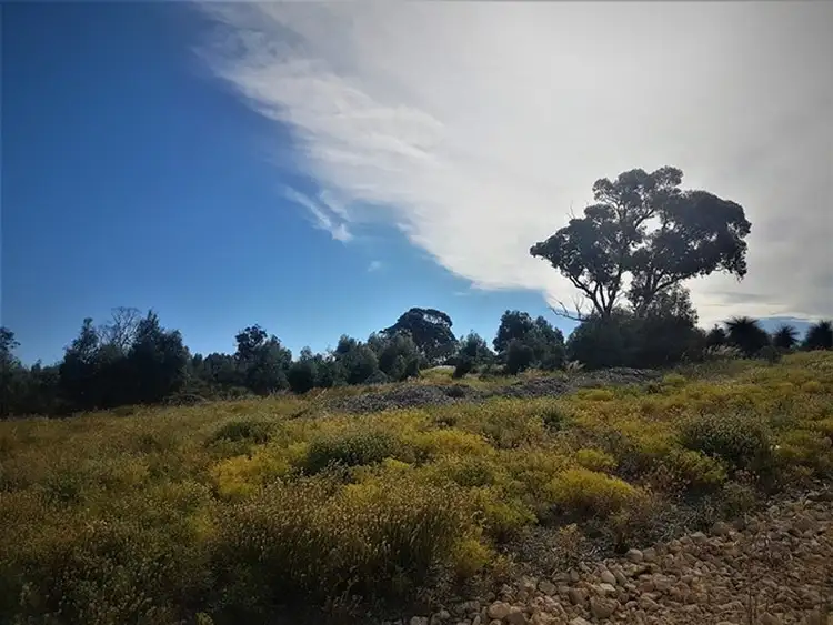 Main view of Homely land listing, 2 Nutmeg Grove, Two Rocks WA 6037