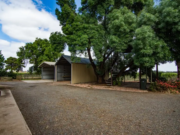 Second view of Homely house listing, 81 Tooravale Road, Berri SA 5343