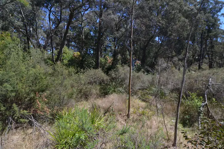 Second view of Homely rural property listing, Lot 9 Kerma Crescent, Clarence NSW 2790