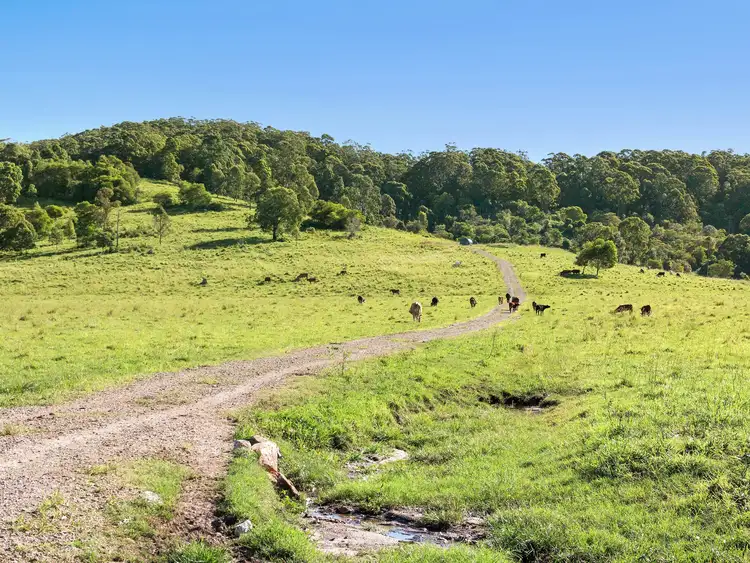Third view of Homely rural property listing, 102 & 103 Thurgates Lane, Meerschaum Vale NSW 2477