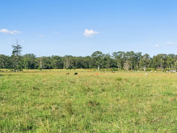 Fourth view of Homely rural property listing, 102 & 103 Thurgates Lane, Meerschaum Vale NSW 2477