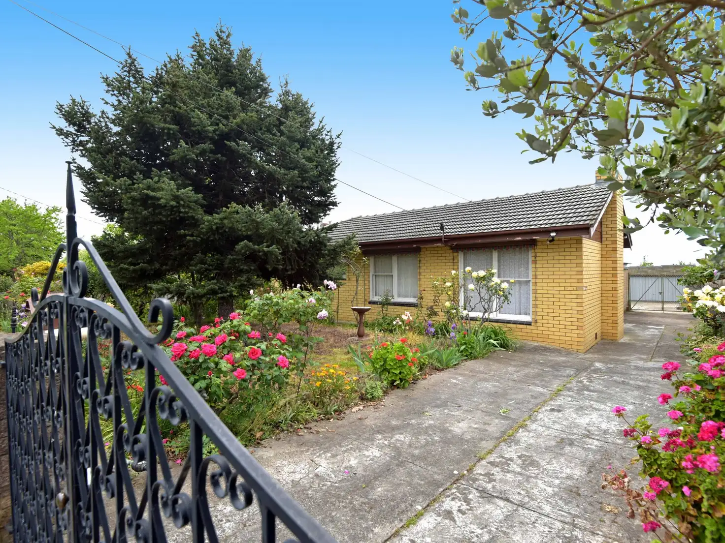 Main view of Homely house listing, 23 Sheridan Street, Hamlyn Heights VIC 3215