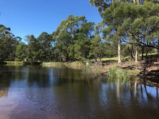 92 Israels Road, Brogo NSW 2550