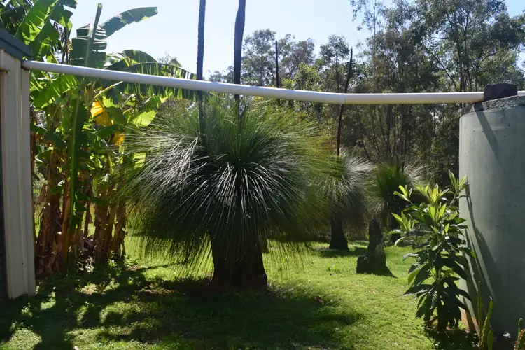 Sixth view of Homely rural property listing, 262 Black Mountain Road, Nymboida NSW 2460