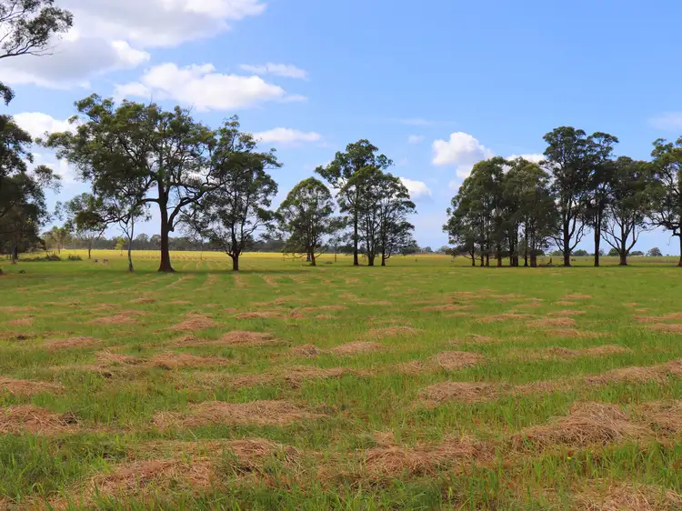 Sixth view of Homely land listing, 100 Old Lansdowne Road, Cundletown NSW 2430