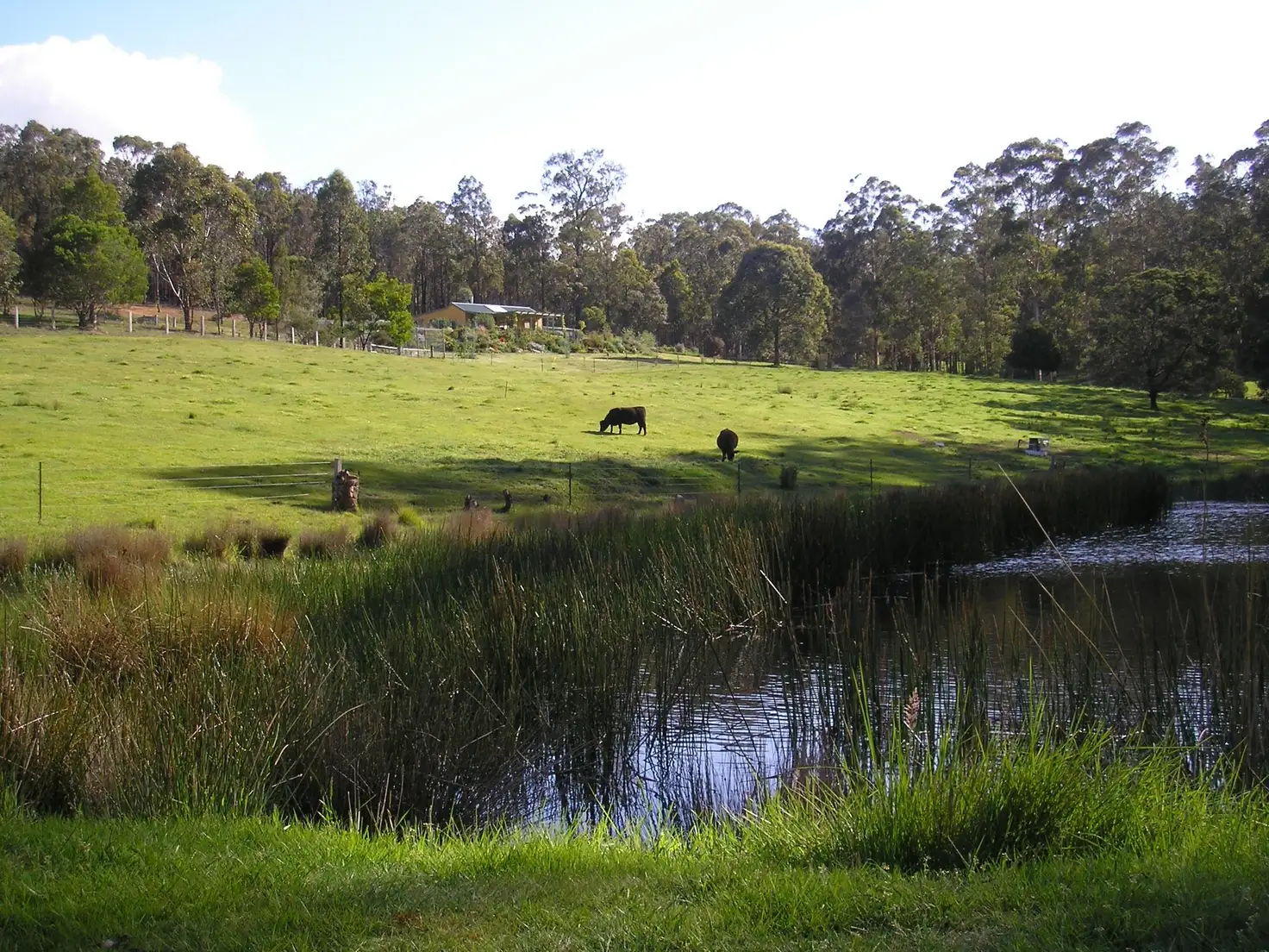 Main view of Homely rural property listing, 500 Bellbird Road, Clifton Creek VIC 3875
