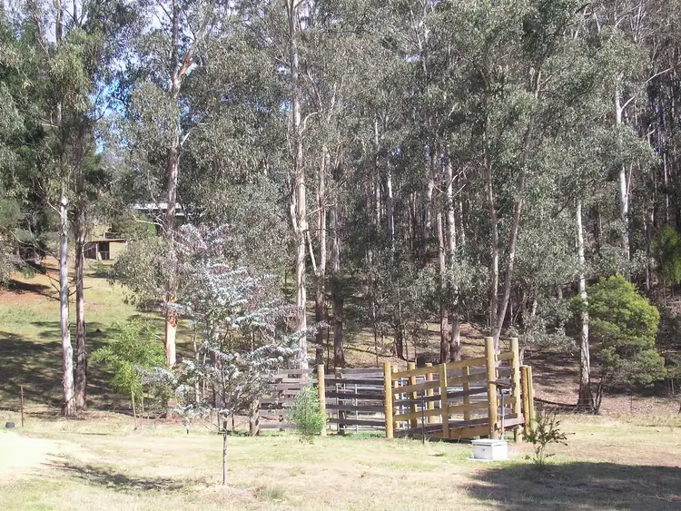 Fourth view of Homely rural property listing, 500 Bellbird Road, Clifton Creek VIC 3875