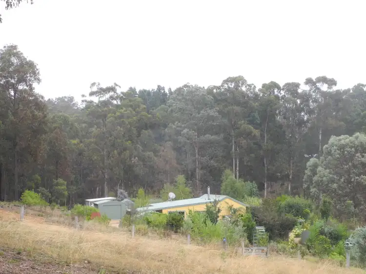 Fifth view of Homely rural property listing, 500 Bellbird Road, Clifton Creek VIC 3875