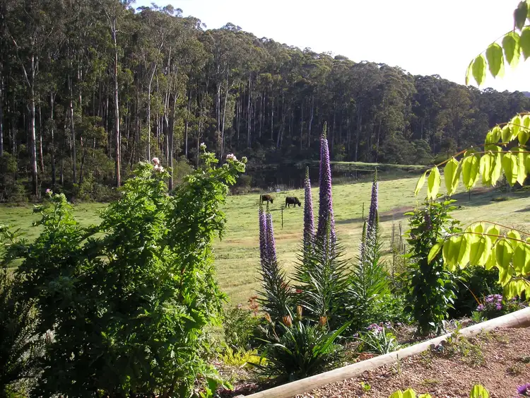 Sixth view of Homely rural property listing, 500 Bellbird Road, Clifton Creek VIC 3875