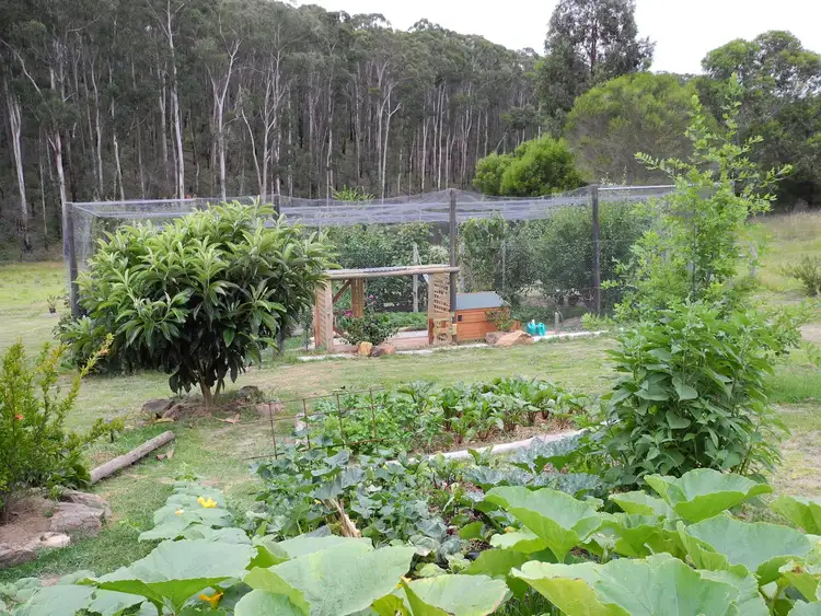 Seventh view of Homely rural property listing, 500 Bellbird Road, Clifton Creek VIC 3875