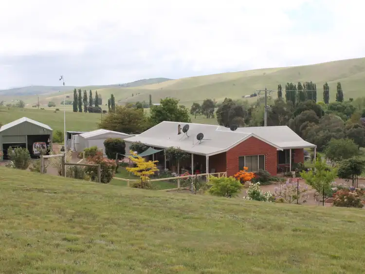 Main view of Homely rural property listing, 37 Omeo Valley Road, Omeo VIC 3898