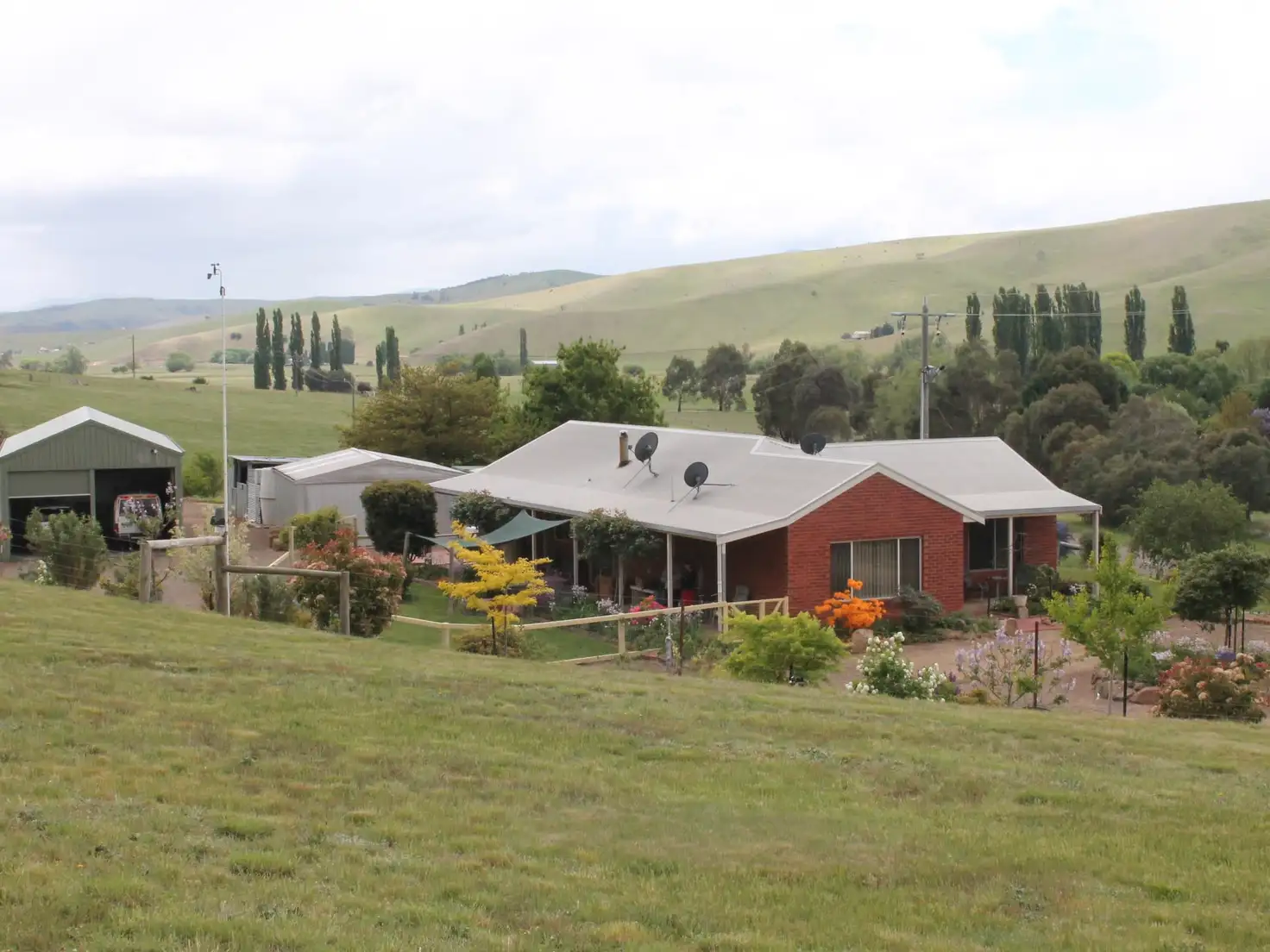 Main view of Homely rural property listing, 37 Omeo Valley Road, Omeo VIC 3898