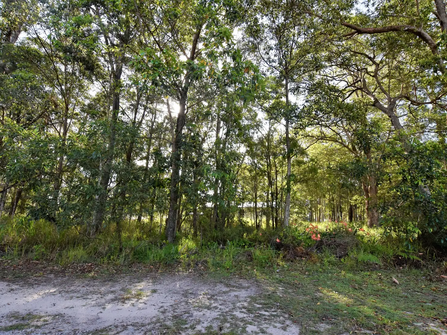 Main view of Homely land listing, 20 Coolabah Street, Russell Island QLD 4184