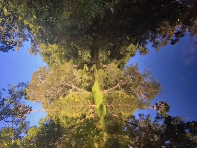 Sixth view of Homely land listing, 3 Fowler Road, Tuggerah NSW 2259