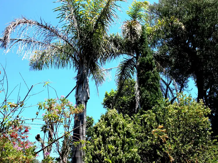 Third view of Homely house listing, 130 Surf Parade, Inverloch VIC 3996
