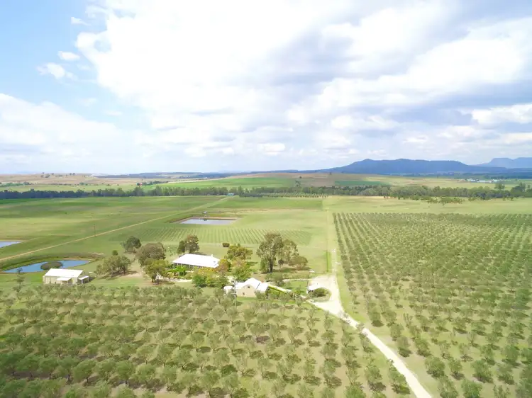 Second view of Homely house listing, 725 Milbrodale Road, Broke NSW 2330