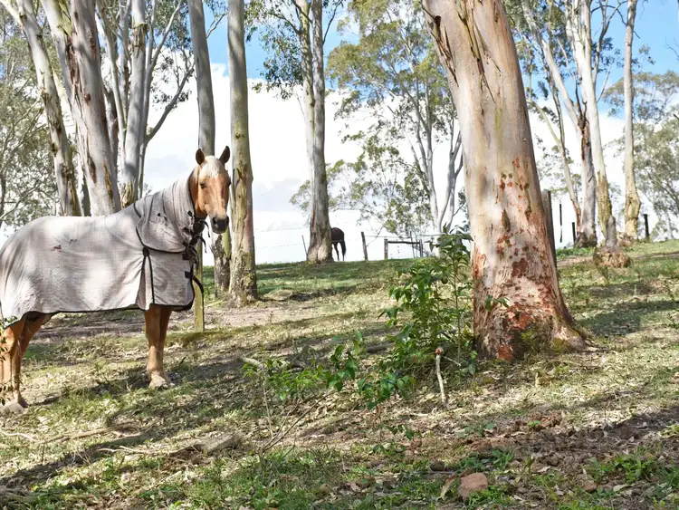 Second view of Homely land listing, 775 East Seaham Road, East Seaham NSW 2324