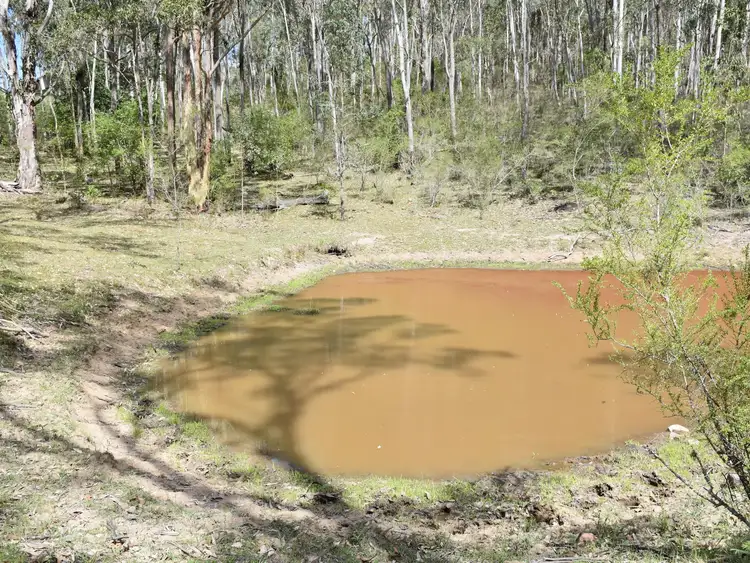 Seventh view of Homely land listing, 775 East Seaham Road, East Seaham NSW 2324