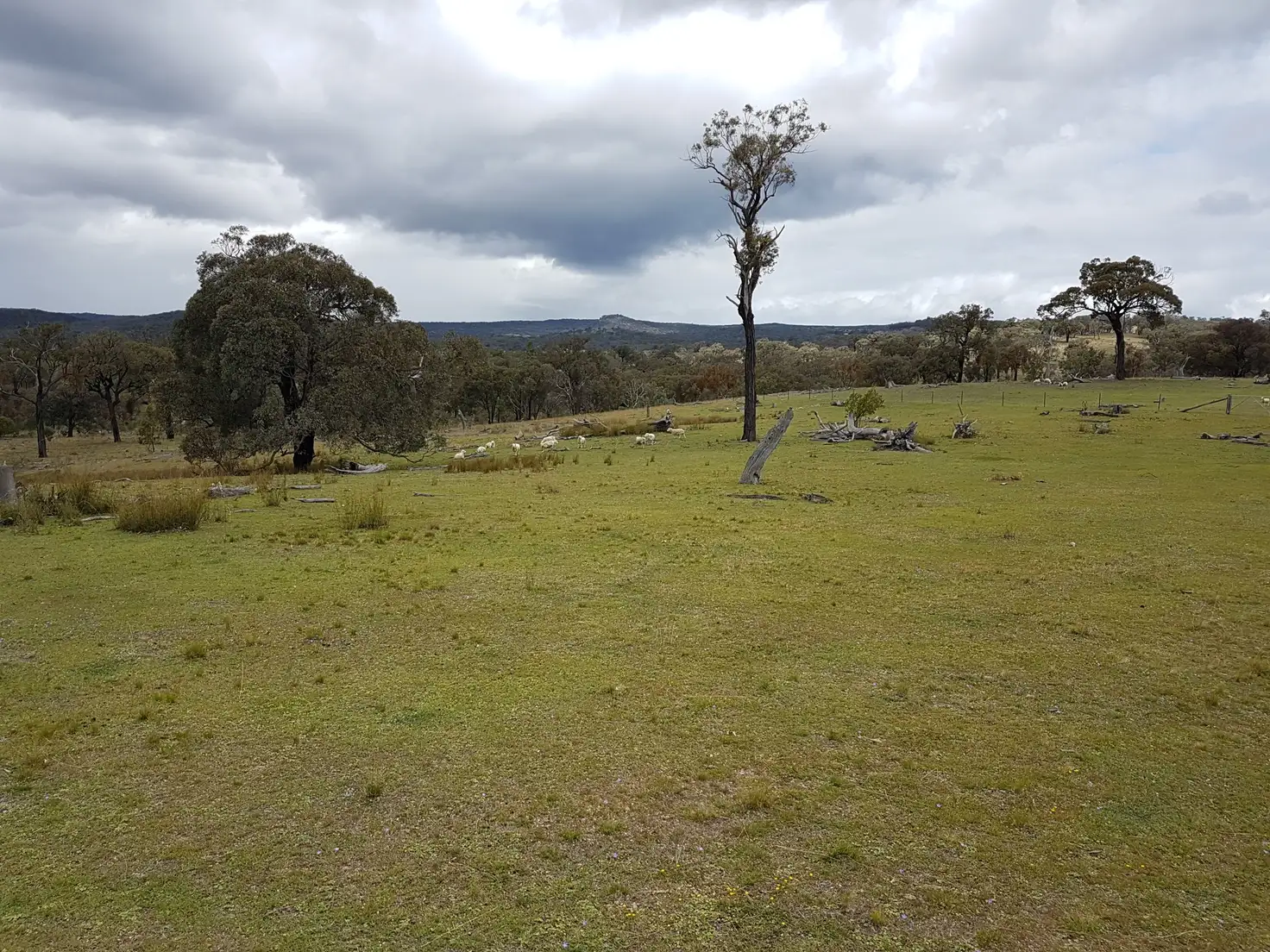 Main view of Homely rural property listing, Lot 1 Springdale Road, Glenlyon QLD 4380