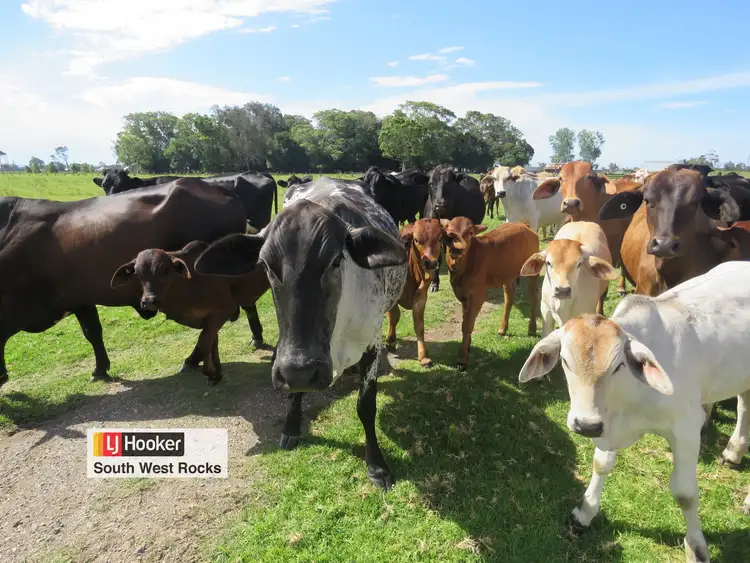 Fifth view of Homely rural property listing, 340 Plummers Lane, Clybucca NSW 2440