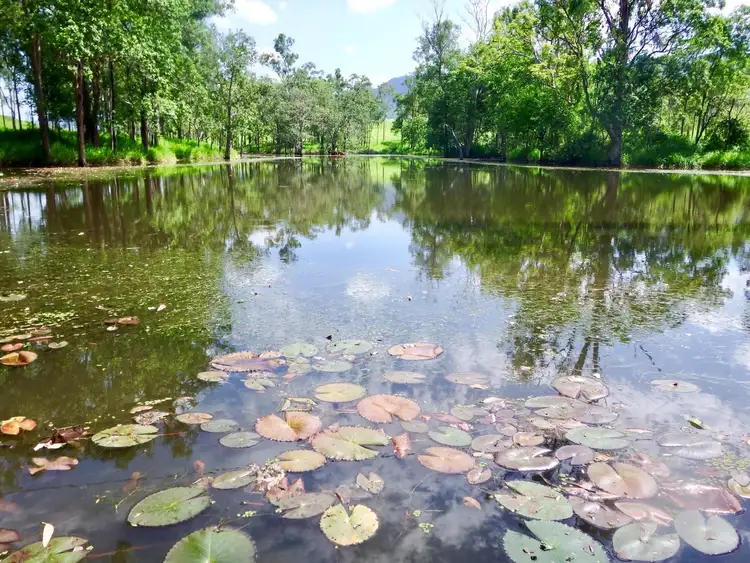 Third view of Homely rural property listing, 111 Porters Road, Yalboroo QLD 4741