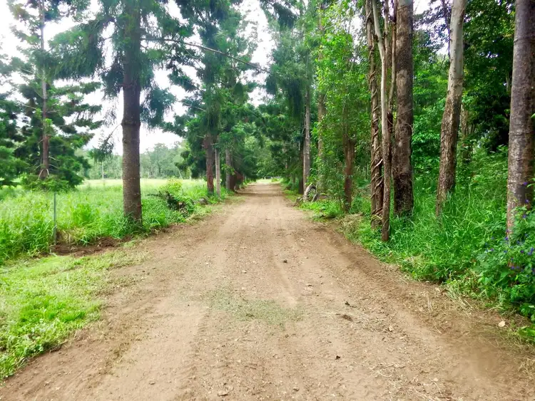 Fifth view of Homely rural property listing, 111 Porters Road, Yalboroo QLD 4741