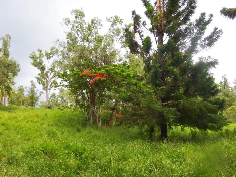Sixth view of Homely rural property listing, 111 Porters Road, Yalboroo QLD 4741