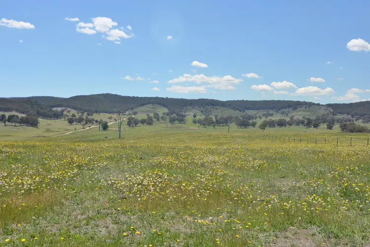 Lot 10 Back Cullen Road, Portland NSW 2847
