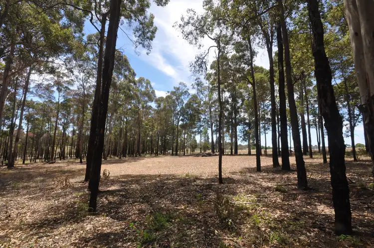 Sixth view of Homely land listing, 15 Seven Day Road, Manjimup WA 6258