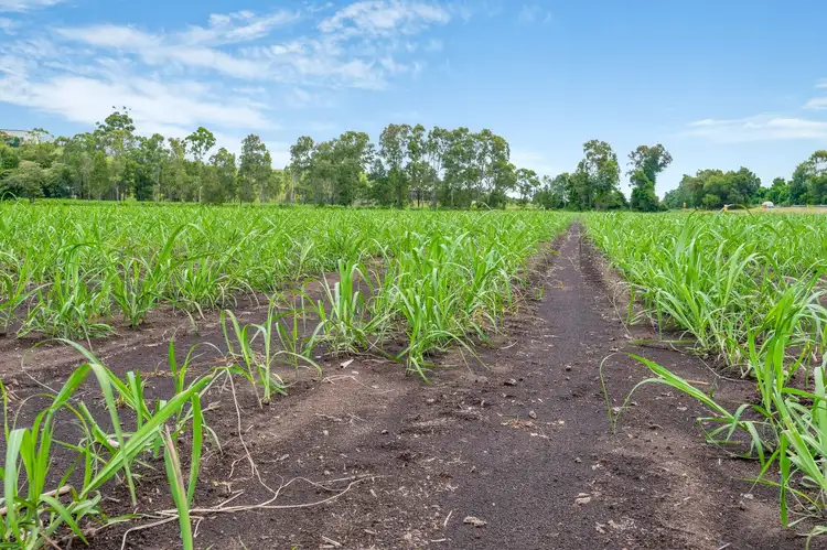 Sixth view of Homely rural property listing, 9910 Pacific Highway, Woodburn NSW 2472