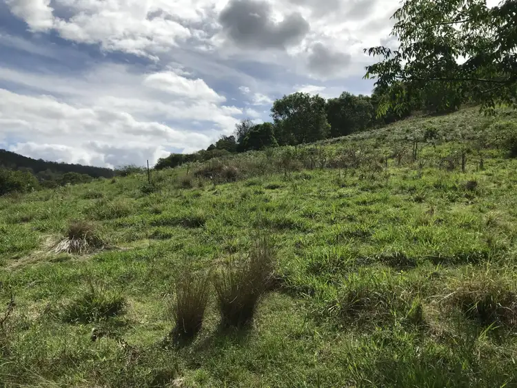 Third view of Homely rural property listing, 424 Paddock Creek Road, Caffreys Flat via, Wingham NSW 2429