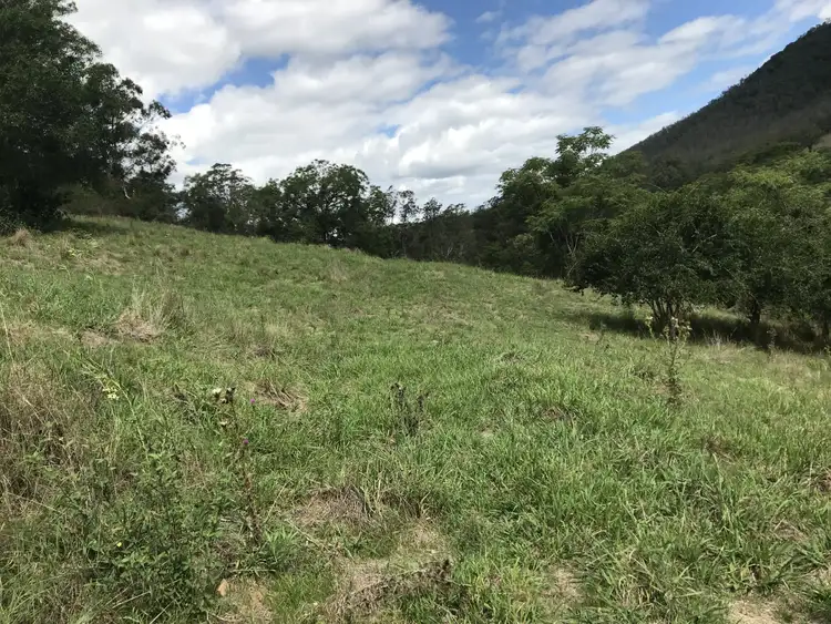 Fourth view of Homely rural property listing, 424 Paddock Creek Road, Caffreys Flat via, Wingham NSW 2429