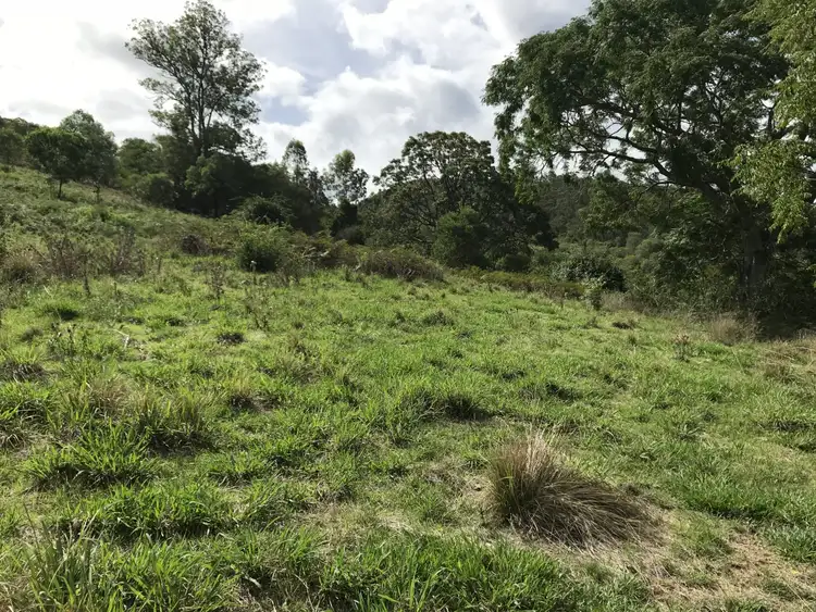 Fifth view of Homely rural property listing, 424 Paddock Creek Road, Caffreys Flat via, Wingham NSW 2429